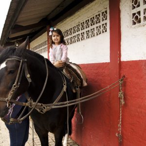 Passeio de cavalo em Joinville