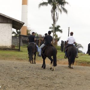 Passeio a Cavalo em Joinville